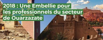 professionnels, secteur, ouarzazate, maroc