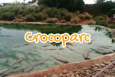 crocoparc, agadir, morocco