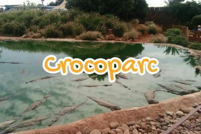 crocoparc, agadir, maroc