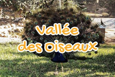 Vallée des Oiseaux