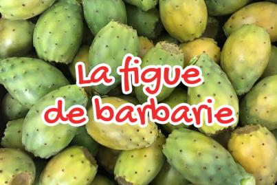 Figue de Barbarie