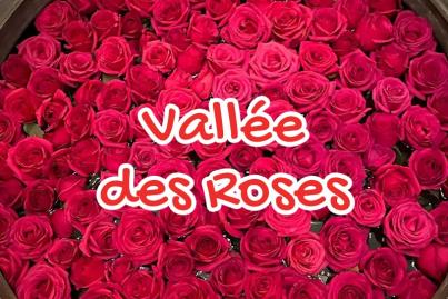 Vallée des roses