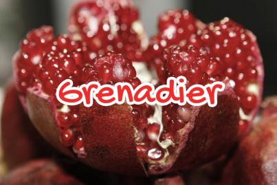Le Grenadier