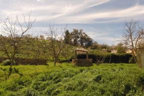 Image - Meilleures attractions à Berkane au Maroc