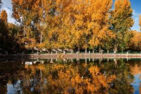 Image - Ifrane : ville installée dans les montagnes du Moyen Atlas au Maroc