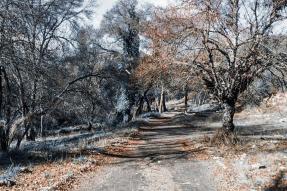Image - Ifrane : la deuxième ville la plus propre au monde