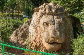 Image - Le Lion d'Ifrane