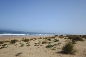 Image - Mehdia plage à Kénitra