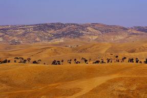 Image - Moulay Yaâcoub : Ville au Maroc