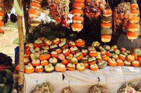 Image - Province de Sidi Bennour