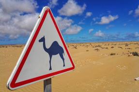 Image - Les meilleures choses à faire à Tarfaya