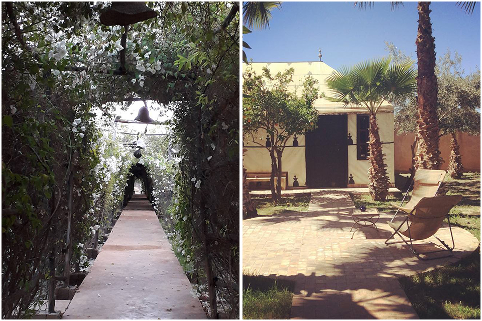 camping manzil la tortue morocco travel infos tourisme maroc