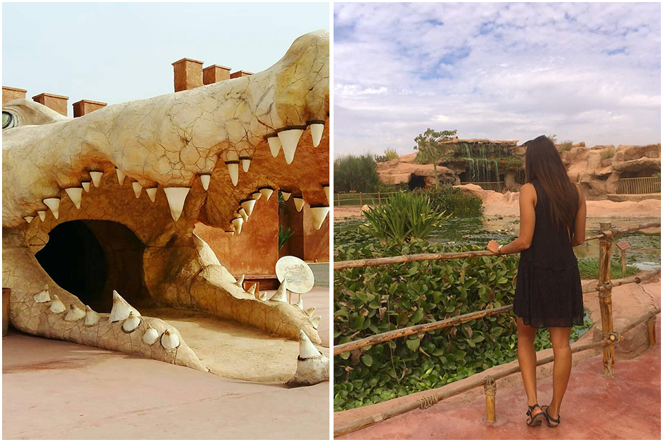croco parc agadir morocco travel infos tourisme maroc afrique