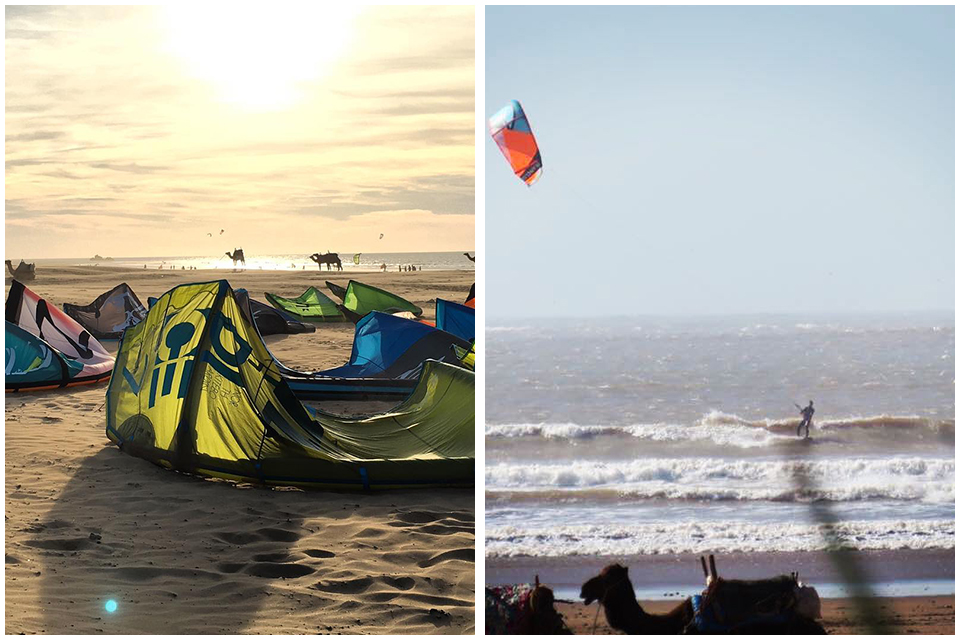 essaouira surf spot infos tourisme maroc afrique