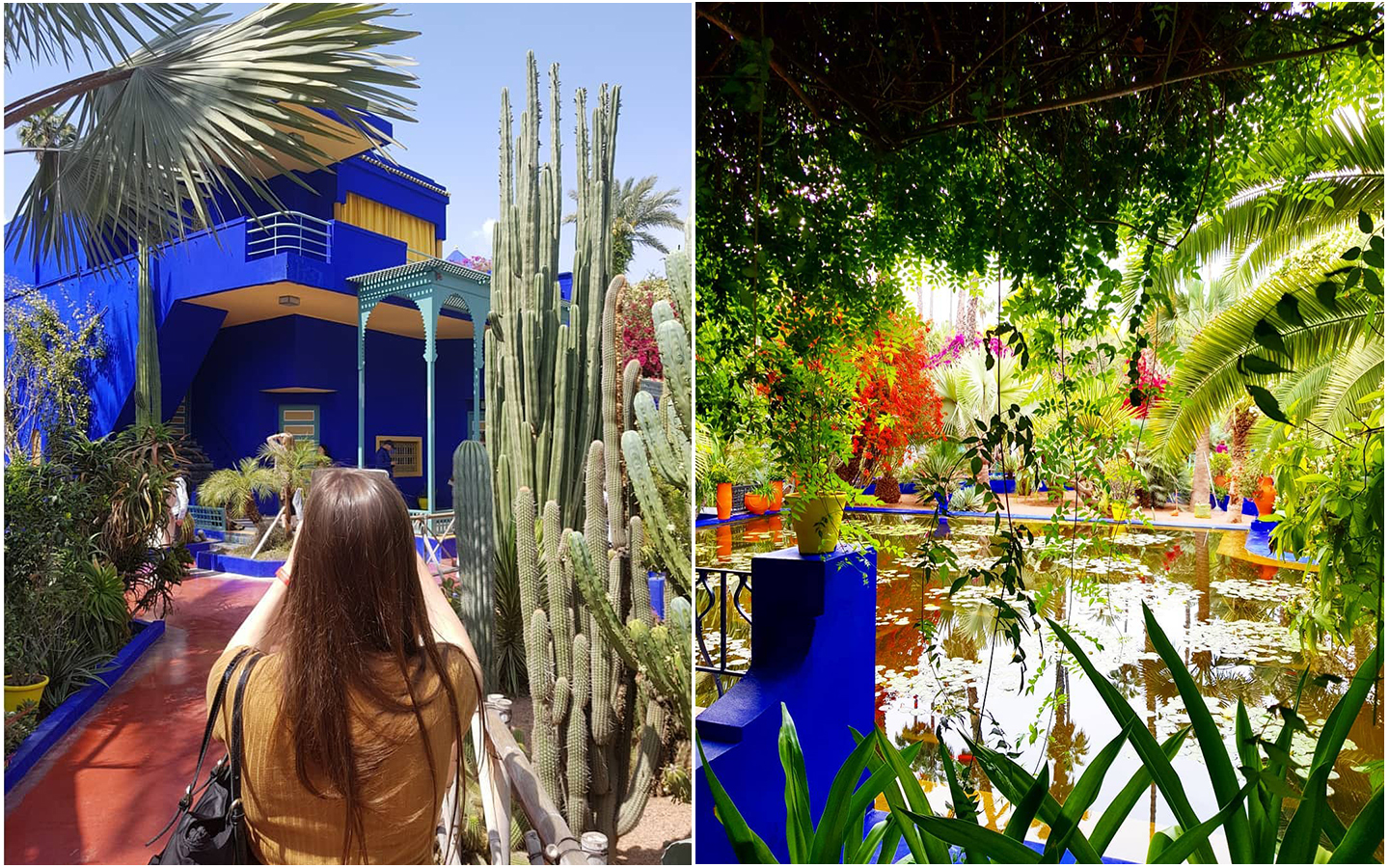 jardin majorel marrakech maroc travel morocco tourisme maroc discover