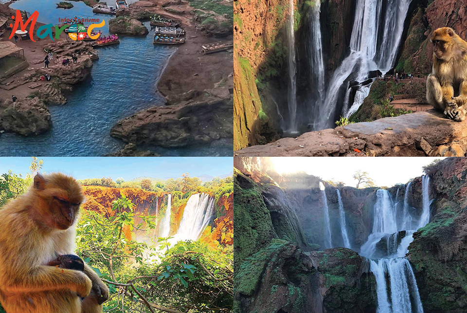 cascades ouzoud travel tourisme voyage visiter maroc destination afrique