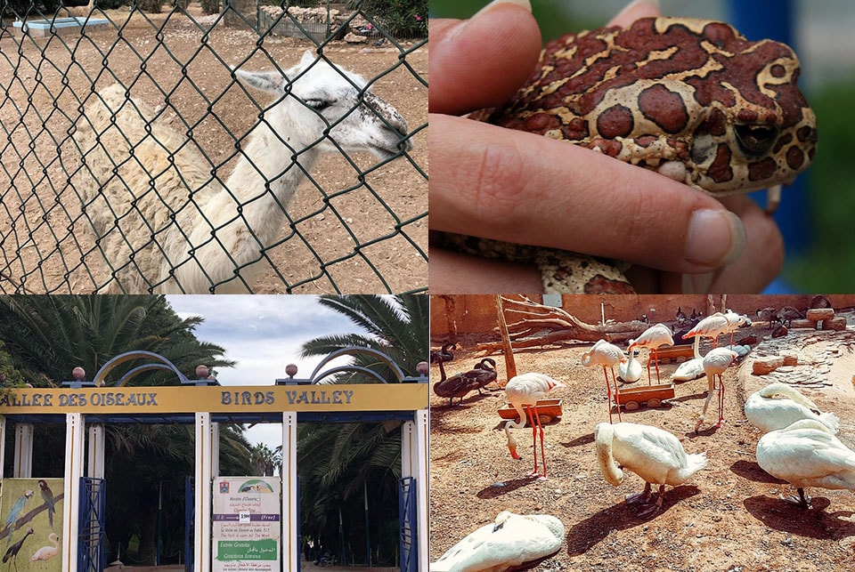 vallee oiseaux agadir attraction maroc