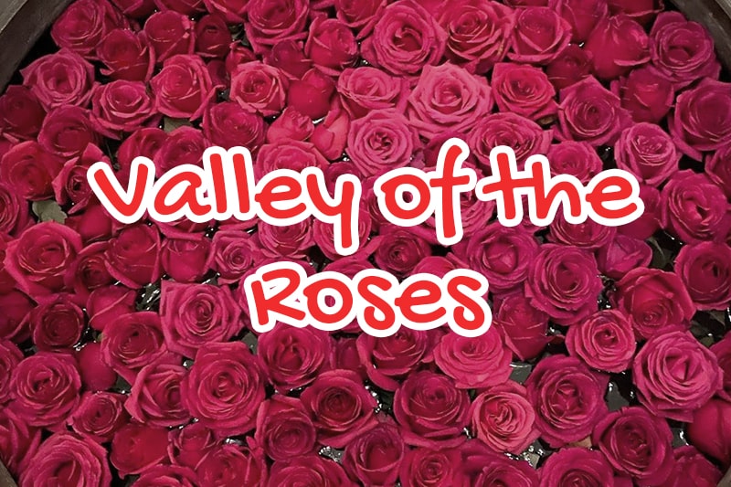 Valley of the Roses